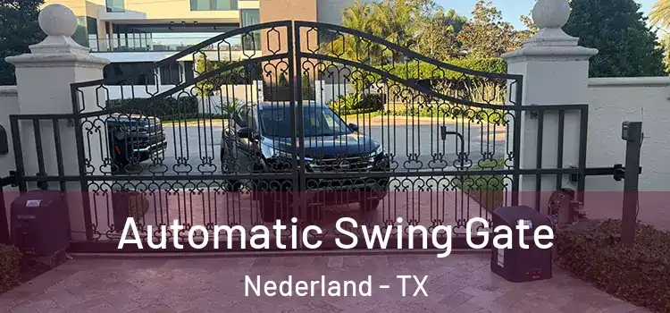  Automatic Swing Gate Nederland - TX