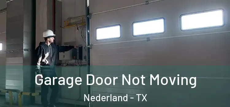  Garage Door Not Moving Nederland - TX