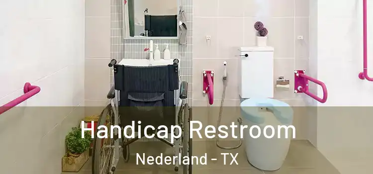 Handicap Restroom Nederland - TX