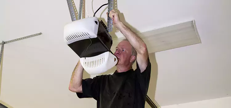 Garage Door Opener Service Nederland